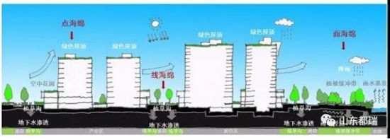 如何理解「海綿城市」的概念？